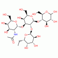 A-TETRASACCHARIDE FROM HUMAN URINE