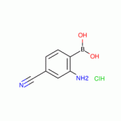2-Amino-4-cyanobenzeneboronic acid hydrochloride 97%