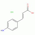 4-AMINOCINNAMIC ACID HYDROCHLORIDE, 97%,  PREDOMINANTLY TRANS
