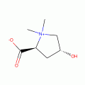 BETONICINE(RG)