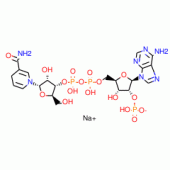 A-NICOTINAMIDE ADENINE DINUCLEOTIDE*PHOS PHATE REDUC