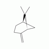 beta-蒎烯