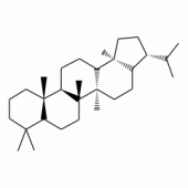 17beta(H),21beta(H)-Hopane solution