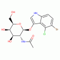 5-BROMO-4-CHLORO-3-INDOLYL-N-ACETYL-B-D- GALACTOSAMINIDE