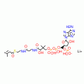 B-METHYLCROTONYL COENZYME A LITHIUM*CRYS TALLINE
