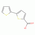 2,2'-Bithiophene-5-carboxylic acid, 97%