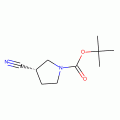 (S)-1-N-Boc-3-Cyano-pyrrolidine