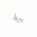 3-Bromo-N-(tert-butyl)benzenesulphonamide 98%