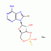 8-BROMOADENOSINE-3',5'-CYCLIC * MONOPHOSPHOROTHIOAT