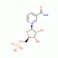 B-NICOTINAMIDE MONONUCLEOTIDE