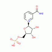 B-NICOTINAMIDE MONONUCLEOTIDE
