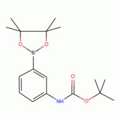 3-(N-Boc-amino)phenylboronic acid pinacol ester, 97%