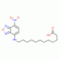 C12-NBD, free acid (12-97-Nitrobenzofurazan 4-ylamino)dodecanoic acid