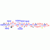 CALMODULIN-DEPENDENT PROTEIN KINASE IIFR AGMENT 290