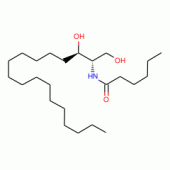 C6 Dihydroceramide