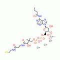 N-BUTYRYL COENZYME A LITHIUM