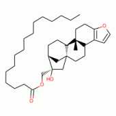 CAFESTOLPALMITATE(RG)