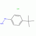1-(4-叔丁基苯）肼盐酸盐