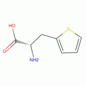 B-(2-THIENYL)-L-ALANINE