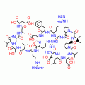 CALCINEURIN SUBSTRATE