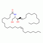 C24:1 Ceramide
