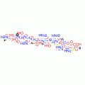 CALCINEURIN AUTOINHIBITORY FRAGMENT