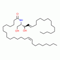 C24:1 Ceramide