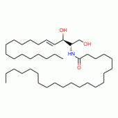 C22 Ceramide