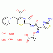 CEFTAZIDIME PENTAHYDRATE