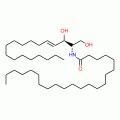 C22 Ceramide