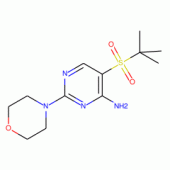 5-(tert-Butylsulfonyl)-2-morpholinopyrimidin-4-amine, 97%