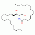C14 Ceramide