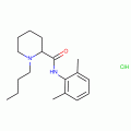 Bupivacaine Hydrochloride (500 mg)