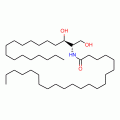 C22 Dihydroceramide