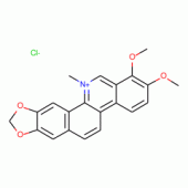 白屈菜赤(红)碱