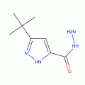 3-叔丁基－-1H-吡唑-5-羧肼
