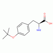 O-TERT-BUTYL-L-TYROSINE