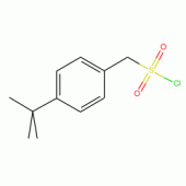 [4-(叔丁基)苯基]甲磺酰氯