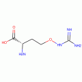 L-CANAVANINE FREE BASE FROM JACK BEANSCR YSTALLINE