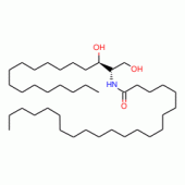 C22 Dihydroceramide