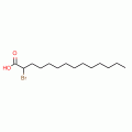 2-BROMOTETRADECANOIC ACID, 98%