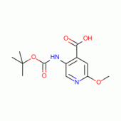 5-(叔丁氧基羰基氨基)-2-甲氧基吡啶-4-羧酸