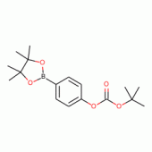tert-Butyl-4-(4,4,5,5-tetramethyl-1,3,2-dioxaborolan-2-yl)phenylcarbonate