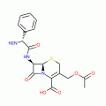 CEPHALOGLYCIN