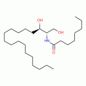C8 Dihydroceramide