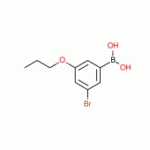 3-BROMO-5-PROPOXYPHENYLBORONIC ACID