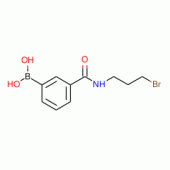 3-(3-Bromopropylcarbamoyl)benzeneboronic acid 97%