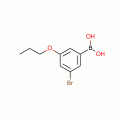 3-BROMO-5-PROPOXYPHENYLBORONIC ACID