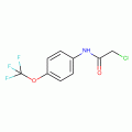 N-Chloroacetyl-4-(trifluoromethoxy)aniline 97%