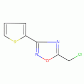 5-(Chloromethyl)-3-(2-thienyl)-1,2,4-oxadiazole , 95%